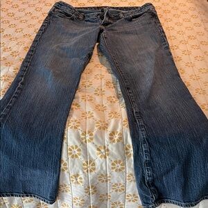 The Limited Dark Blue Flare Jeans